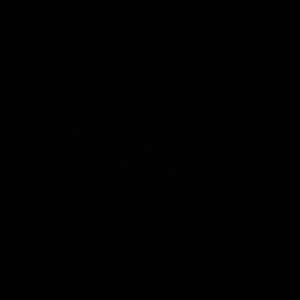 Meet your Posher, Shane